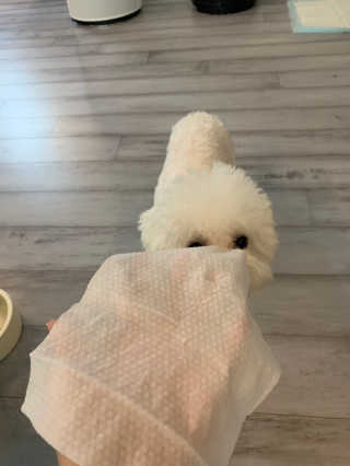 큐티윤님이 올린 리뷰 사진 3