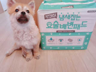 좋아님이 올린 리뷰 사진 4