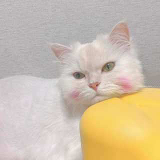 수미님이 올린 리뷰 사진 2