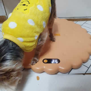 솜희님이 올린 리뷰 사진 1