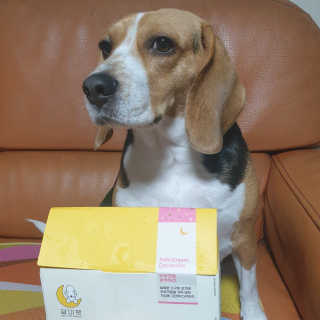beaglelove님이 올린 리뷰 사진 1