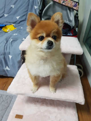 름이가리님이 올린 리뷰 사진 3
