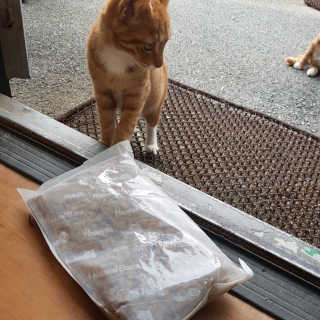 빡찌님이 올린 리뷰 사진 3