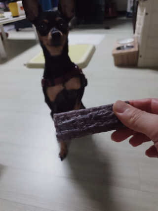 도도님이 올린 리뷰 사진 3