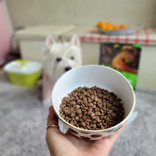 [풀무원 아미오] 자연담은식단 1kg 3종 — 5점을 준 리뷰어가 2020년 12월 올린 사용 사진