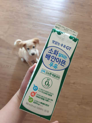 남양유업 맛있는우유GT 소화잘되는 배안아픈우유 3EA — 5점을 준 리뷰어가 2020년 10월 올린 사용 사진