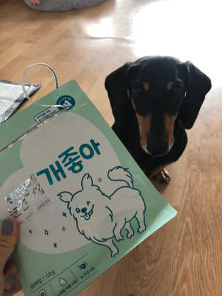 My Pet Care 천연단백질 눈건강에 개좋아 — 5점을 준 리뷰어가 2020년 12월 올린 사용 사진