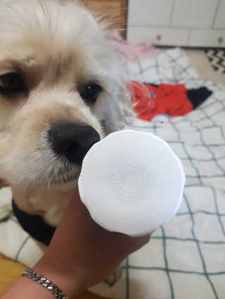 조소민님이 올린 리뷰 사진 2