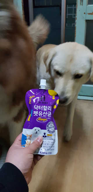 닥터할리펫밀크 8종 — 5점을 준 리뷰어가 2020년 4월 올린 사용 사진