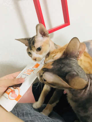 이아님이 올린 리뷰 사진 3