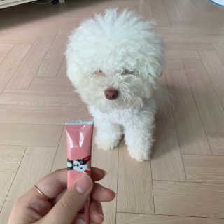 찐멍멍이님이 올린 리뷰 사진 1