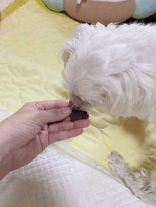 ejejejluv님이 올린 리뷰 사진 4