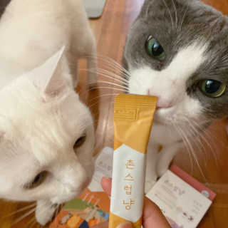 통키밀키님이 올린 리뷰 사진 3