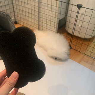 옌짱님이 올린 리뷰 사진 2