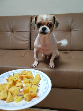 쩡s2님이 올린 리뷰 사진 3