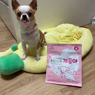 My Pet Care 천연단백질 관절건강에 개좋아 — 5점을 준 리뷰어가 2020년 12월 올린 사용 사진