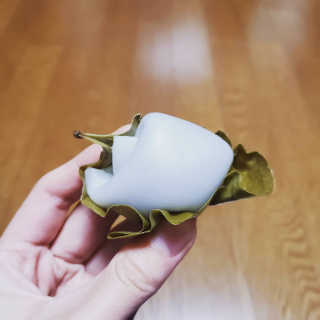 덤보님이 올린 리뷰 사진 2