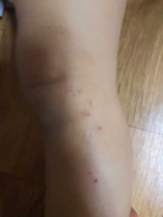 배밍기님이 올린 리뷰 사진 1