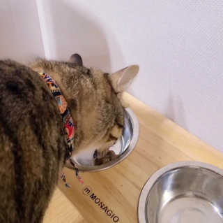 jemjug님이 올린 리뷰 사진 3