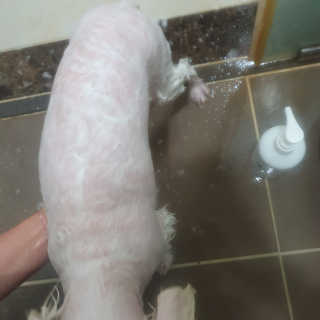 포비맘님이 올린 리뷰 사진 4