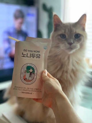 DO YOU NONI, 노니두유 세.계.최.초 DO YOU NONI , 노 니 두 유 6EA — 5점을 준 리뷰어가 2020년 4월 올린 사용 사진