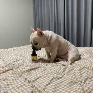 이샤르르님이 올린 리뷰 사진 2