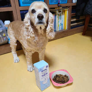 제니맘님이 올린 리뷰 사진 1