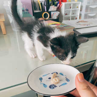 스텔라님이 올린 리뷰 사진 3