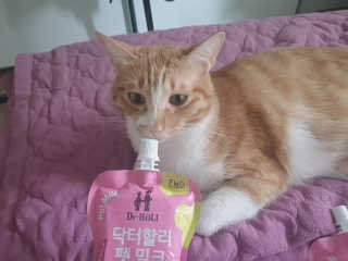 시나님님이 올린 리뷰 사진 2