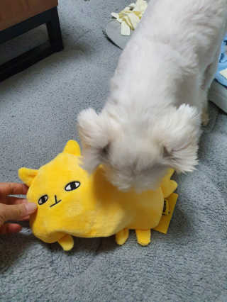 뽀오오옹님이 올린 리뷰 사진 3