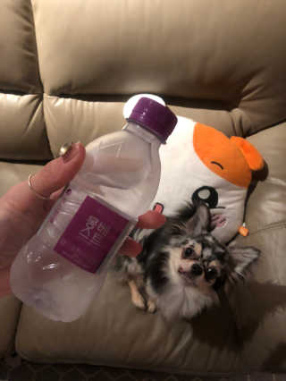 리안님이 올린 리뷰 사진 2