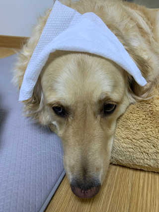 셀럽봉봉님이 올린 리뷰 사진 4