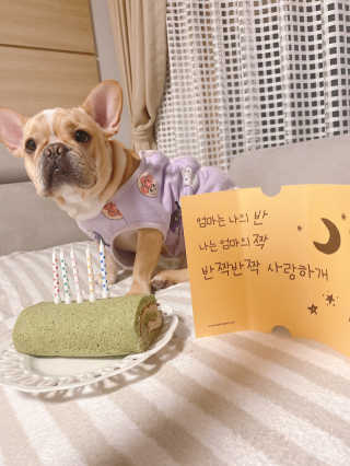이은향님이 올린 리뷰 사진 1