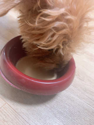 왕좌늼님이 올린 리뷰 사진 1