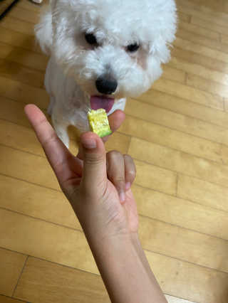 무한독주님이 올린 리뷰 사진 4