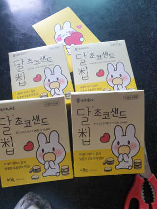 네이처오다 달칩 초코샌드 — 4점을 준 리뷰어가 2020년 6월 올린 사용 사진