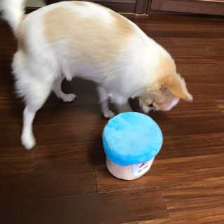 지애님이 올린 리뷰 사진 3