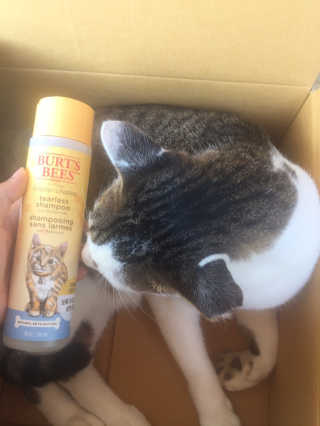 까꿍님이 올린 리뷰 사진 4