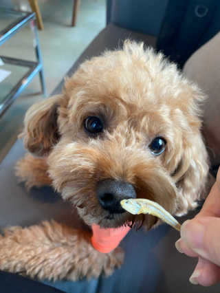 harumom님이 올린 리뷰 사진 4