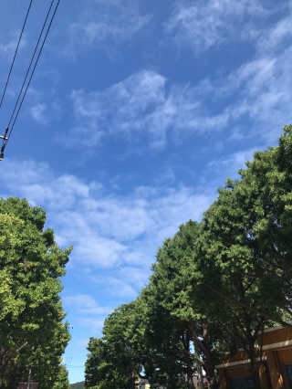 쯀님이 올린 리뷰 사진 2