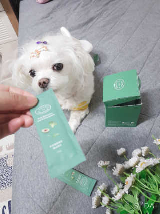 두부님이 올린 리뷰 사진 4