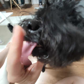 ❤꼬네우니🧡님이 올린 리뷰 사진 3