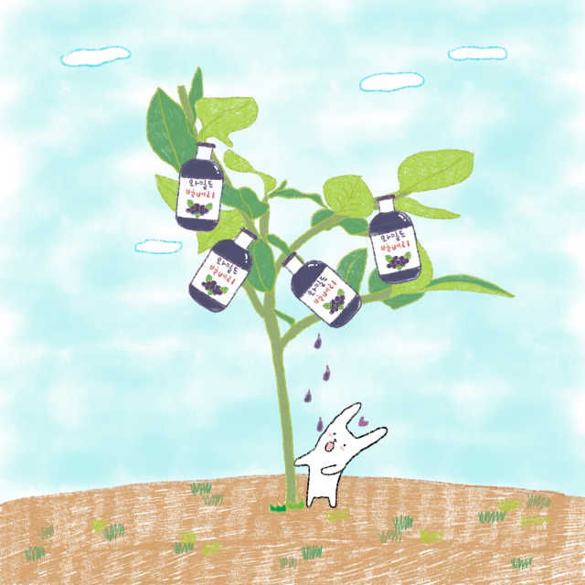 조지아스 내추럴 야생빌베리 1,000ml NFC 리뷰 사진