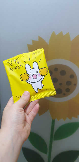 네이처오다 달칩 초코샌드 — 4점을 준 리뷰어가 2020년 10월 올린 사용 사진