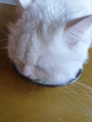 또순님이 올린 리뷰 사진 2