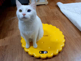 야키소바빵님이 올린 리뷰 사진 3