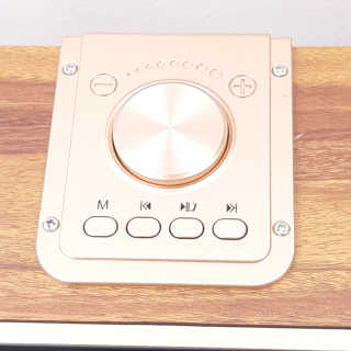 SEVIZ GOLD20W 레트로 블루투스 스피커 — 5점을 준 리뷰어가 2020년 7월 올린 사용 사진