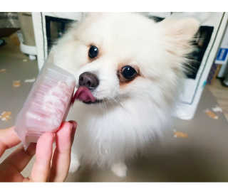 심쿵해에님이 올린 리뷰 사진 1