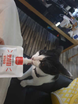 퓨리아님이 올린 리뷰 사진 3