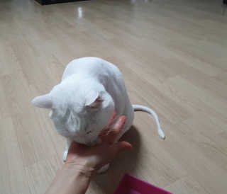 메밀님이 올린 리뷰 사진 3